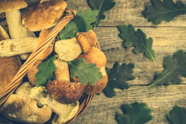 Real-Time Order Tracking Systems for Cannabis Delivery Services Explained